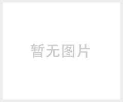 BOCKUS電動(dòng)叉車電池博克森牽引車蓄電池